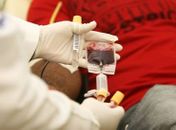Vacina impede doação de sangue por quatro semanas; doe sangue antes de se vacinar
