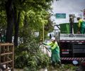 Prefeitura de Maceió orienta como solicitar poda e supressão de árvores