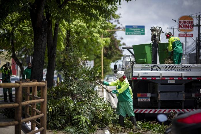Prefeitura de Maceió orienta como solicitar poda e supressão de árvores