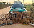 PM-AL apreende duas armas de fogo e resgata 59 animais silvestres em ações de fiscalização