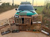 PM-AL apreende duas armas de fogo e resgata 59 animais silvestres em ações de fiscalização