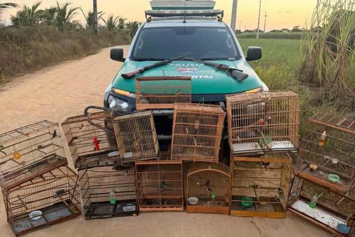 PM-AL apreende duas armas de fogo e resgata 59 animais silvestres em ações de fiscalização