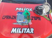 PM prende suspeitos por tráfico de drogas e prática de jogos de azar durante operação em Murici