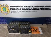 PRF apreende mais de 200 caixas de películas de celular sem notas fiscais na BR-101

