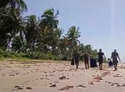 Guarda Ambiental promove ações para garantir limpeza de praias