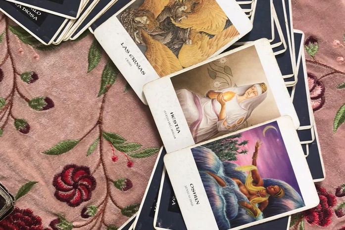 Tarot diz que JHC ganha para prefeito de Maceió e Bolsonaro sai do poder