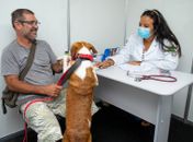 Maceió encerra campanha de vacinação antirrábica com 75 mil animais imunizados
