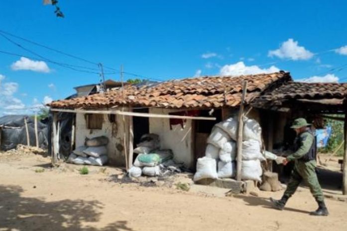 Extração irregular de carvão acontecia no município de Traipu.
