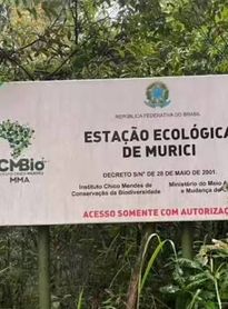 Justiça Federal condena homem por caça ilegal e porte de arma na Estação Ecológica de Murici