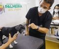 Pet Amigo retoma atendimentos nos bairros de Palmeira dos Índios