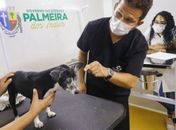 Pet Amigo retoma atendimentos nos bairros de Palmeira dos Índios