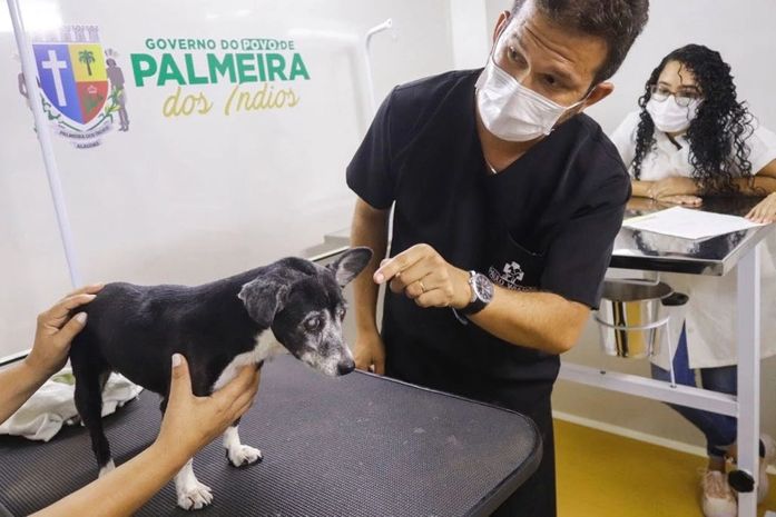 Pet Amigo retoma atendimentos nos bairros de Palmeira dos Índios