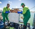 Móveis, pneus e recicláveis: em 2025, mais de 260 toneladas de lixo são retirados de biomas marinhos, em Maceió