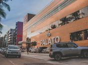Palato Ponta Verde