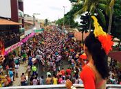 Maragogi se despediu da folia do momo nesta quarta-feira