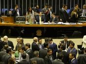 Câmara aumenta pena de maus-tratos contra animais e zoofilia