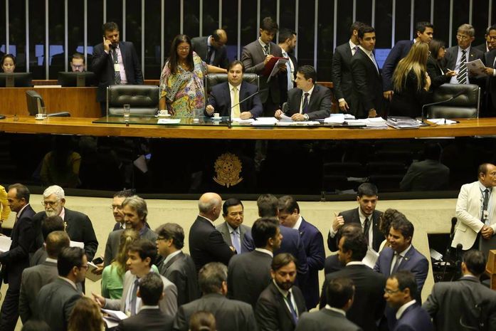 Câmara aumenta pena de maus-tratos contra animais e zoofilia