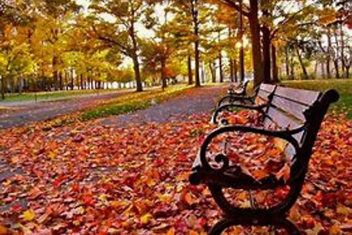 Tem uma melancolia que invade a alma e se espelha nos olhos da senhora, sentada ao lado