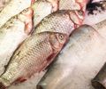 Dois funcionários são presos após furtarem pacotes de peixes em supermercado na Serraria