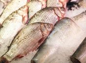 Dois funcionários são presos após furtarem pacotes de peixes em supermercado na Serraria