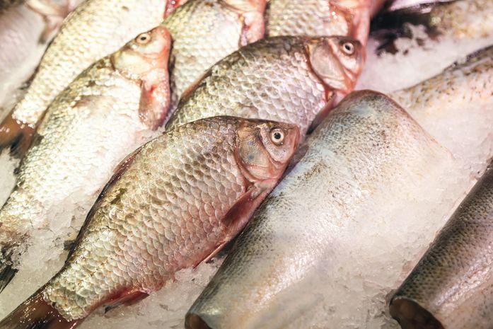 Dois funcionários são presos após furtarem pacotes de peixes em supermercado na Serraria