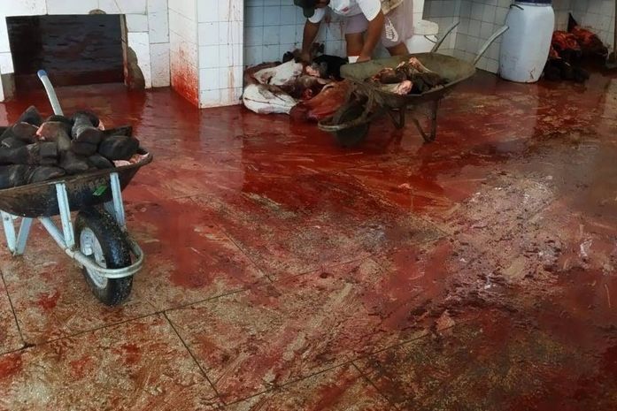 Visceras dos animais jogadas no chão transladados por carroça de mão