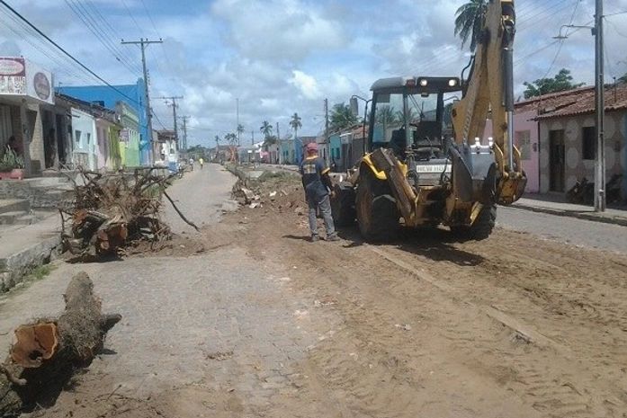 derrubada ilegal de árvores em Quebrangulo