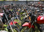 Detran Alagoas realiza leilão de mais de quatro mil veículos inservíveis no mês de julho
