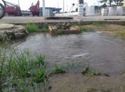 Desperdício de água é destaque nas redes sociais