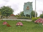 Bandidos explodem caixas do BB em Campo Grande 