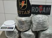 Com denúncia de morador, polícia apreende 5kg de maconha dentro de residência em condomínio 