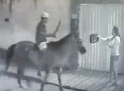 Assaltante a cavalo aborda mulher no bairro Cidade Universitária, em Maceió