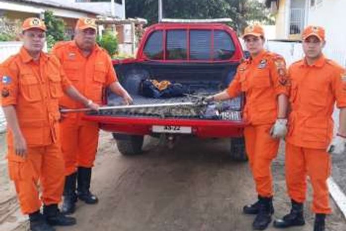 Bombeiros capturam jacaré dentro de residência em Maragogi