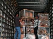 Com recursos próprios, prefeitura de Branquinha adquire novas carteiras para salas de aula