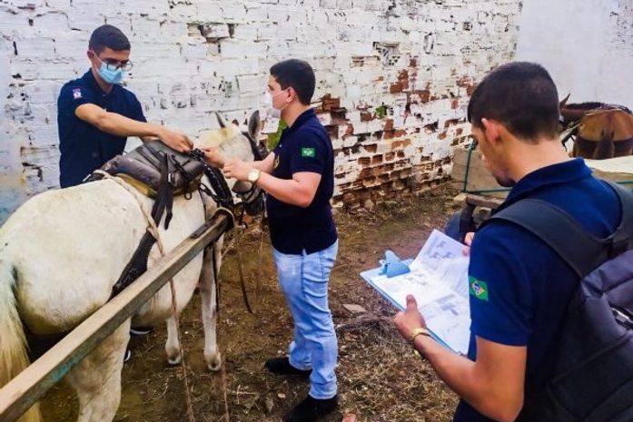Prefeitura regularizará carroceiros dos ecopontos e promoverá ações educativas