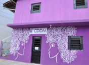 Centro de Defesa da Mulher faz atendimento gratuito com apoio da Ufal