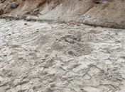 Corpo de mulher é encontrado em faixa de areia na praia do Francês