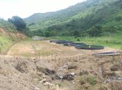 Operação Mata Atlântica em AL embarga mais de 800 hectares e multas chegam a cerca de R$6 mi