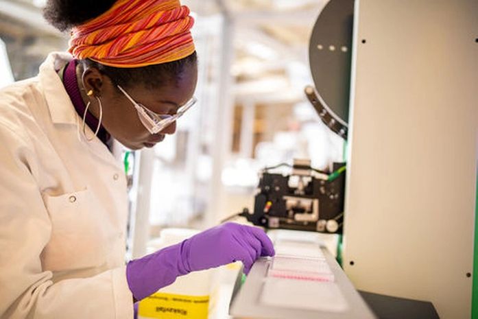 Reinfecção de covid-19 é improvável por pelo menos seis meses, aponta estudo