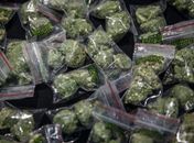 ONG distribui saquinho de maconha para quem se vacinar contra a Covid-19