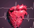 Infarto não escolhe idade: cardiologista alerta para aumento de casos entre jovens e mulheres