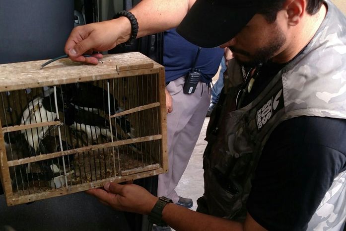 FPI do São Francisco recolheu animais mantidos em cativeiro