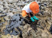 Marinha reforça limpeza de óleo no Nordeste com mais um navio