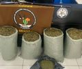 Em uma semana PM-AL retira mais de 62 quilos de drogas e 37 armas de fogo das ruas