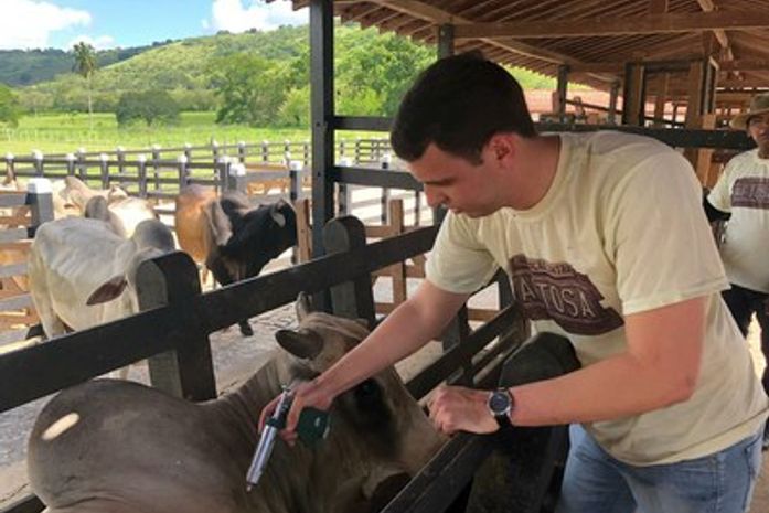 Casos de raiva animal são registrados em Alagoas