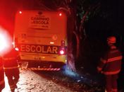 Ônibus escolar colide contra árvore e deixa diversas pessoas feridas na BR-104, em Rio Largo
