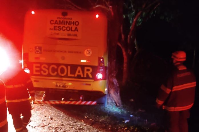 Ônibus escolar colide contra árvore e deixa diversas pessoas feridas na BR-104, em Rio Largo
