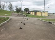Obra avaliada em R$ 20 mi está abandonada e servindo de pasto em Arapiraca