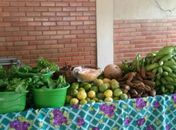 Feira Orgânica da Semarh