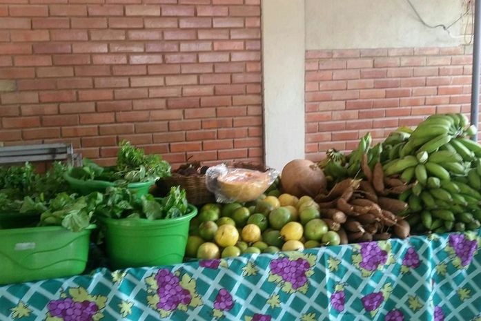 Feira Orgânica da Semarh